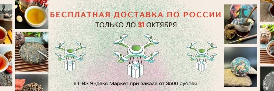 Бесплатная доставка по России